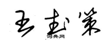 朱錫榮王武策草書個性簽名怎么寫