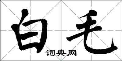 翁闓運白毛楷書怎么寫