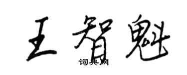 王正良王智魁行書個性簽名怎么寫