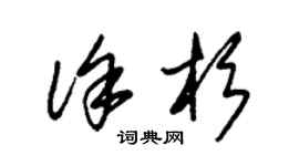 朱錫榮徐杉草書個性簽名怎么寫