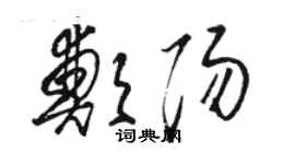 駱恆光鄭陽草書個性簽名怎么寫