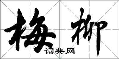 胡問遂梅柳行書怎么寫