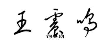 梁錦英王震鳴草書個性簽名怎么寫