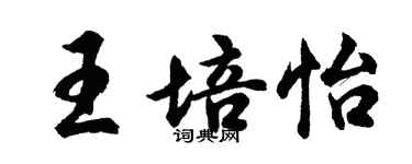 胡問遂王培怡行書個性簽名怎么寫