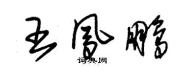 朱錫榮王鳳鵬草書個性簽名怎么寫