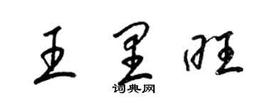 梁錦英王里旺草書個性簽名怎么寫