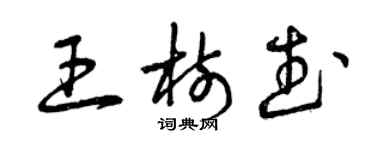 曾慶福王樹武草書個性簽名怎么寫