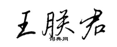 王正良王朕君行書個性簽名怎么寫
