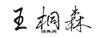 駱恆光王桐森行書個性簽名怎么寫