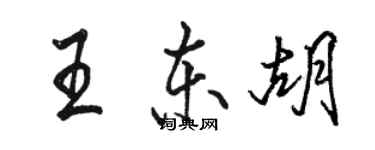 駱恆光王東胡行書個性簽名怎么寫