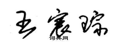 朱錫榮王宸琮草書個性簽名怎么寫