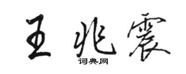 駱恆光王兆震行書個性簽名怎么寫