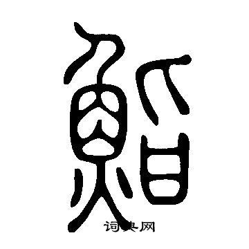 說文解字寫的鮨