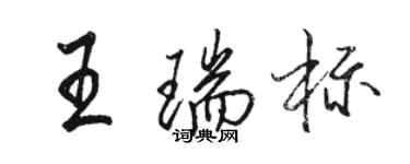 駱恆光王瑞標行書個性簽名怎么寫