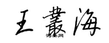 王正良王叢海行書個性簽名怎么寫
