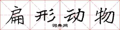 袁強扁形動物楷書怎么寫