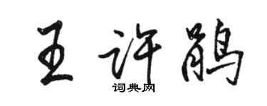 駱恆光王許鵑行書個性簽名怎么寫