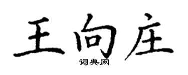 丁謙王向莊楷書個性簽名怎么寫