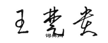 駱恆光王楚貴草書個性簽名怎么寫
