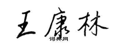 王正良王康林行書個性簽名怎么寫