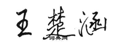 駱恆光王楚涵行書個性簽名怎么寫