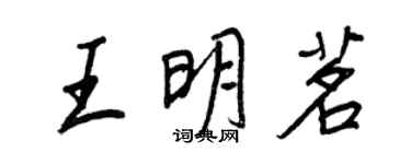 王正良王明茗行書個性簽名怎么寫