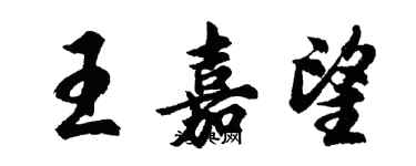 胡問遂王嘉望行書個性簽名怎么寫