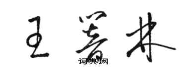 駱恆光王響林草書個性簽名怎么寫