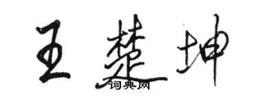 駱恆光王楚坤行書個性簽名怎么寫