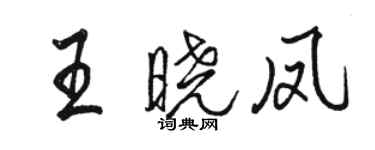 駱恆光王曉鳳行書個性簽名怎么寫