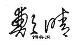 駱恆光鄭晴草書個性簽名怎么寫