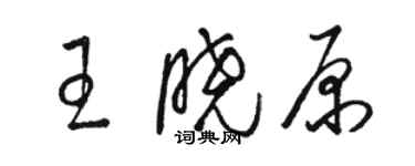 駱恆光王曉原草書個性簽名怎么寫