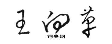 駱恆光王向革草書個性簽名怎么寫