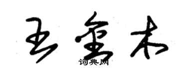 朱錫榮王金木草書個性簽名怎么寫