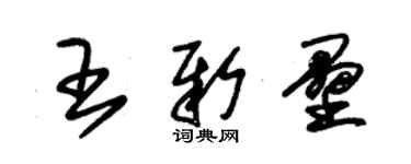 朱錫榮王新壘草書個性簽名怎么寫