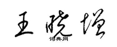 梁錦英王曉增草書個性簽名怎么寫