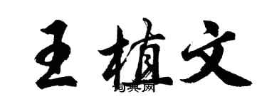 胡問遂王植文行書個性簽名怎么寫