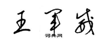 梁錦英王軍威草書個性簽名怎么寫