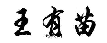 胡問遂王有苗行書個性簽名怎么寫