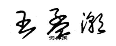 朱錫榮王孟潮草書個性簽名怎么寫