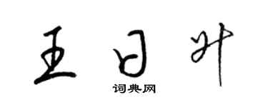 梁錦英王日升草書個性簽名怎么寫