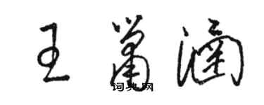 駱恆光王簫涵草書個性簽名怎么寫