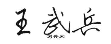 駱恆光王武兵行書個性簽名怎么寫