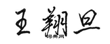 駱恆光王翔旦行書個性簽名怎么寫