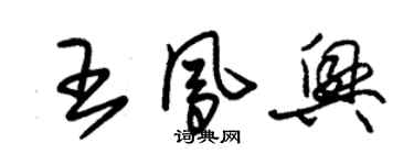 朱錫榮王鳳興草書個性簽名怎么寫