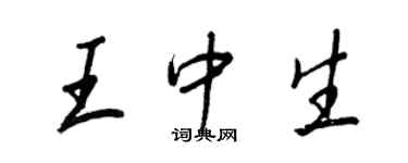 王正良王中生行書個性簽名怎么寫