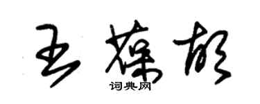 朱錫榮王葆胡草書個性簽名怎么寫