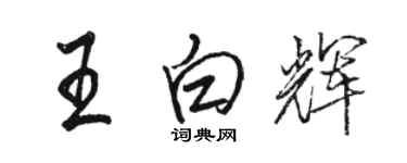 駱恆光王白輝行書個性簽名怎么寫