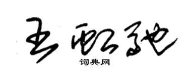 朱錫榮王虹馳草書個性簽名怎么寫