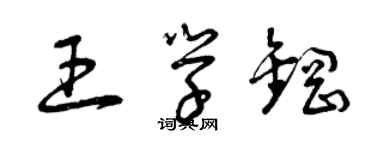 曾慶福王學鋼草書個性簽名怎么寫